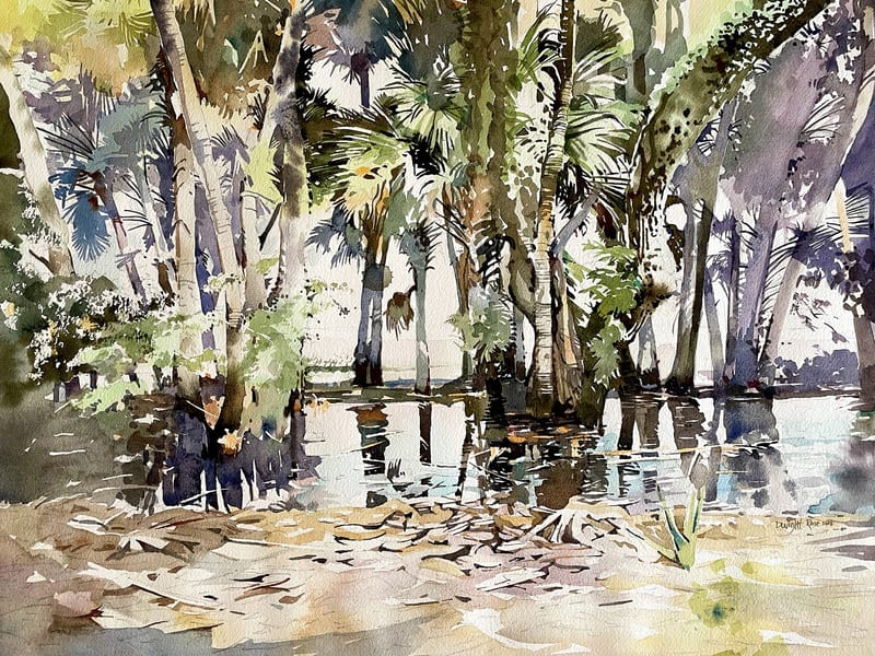 Everglades Swamp — Watercolor on paper