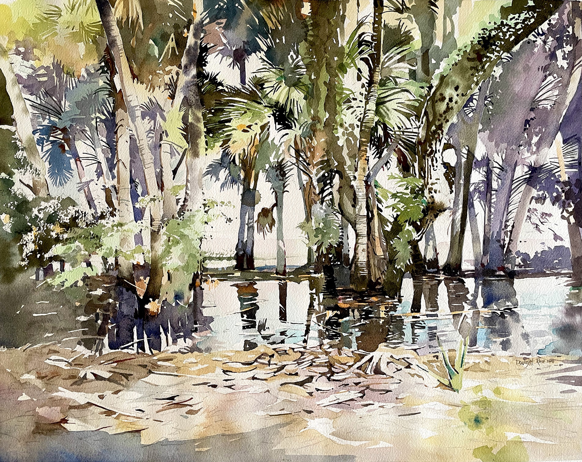 Myakka Park — swamp forest with palm trees reflected in water