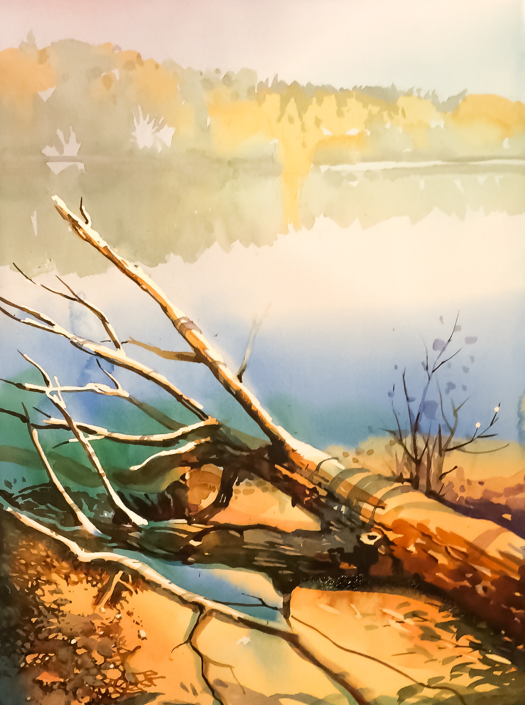 Fallen Tree — Watercolor on paper