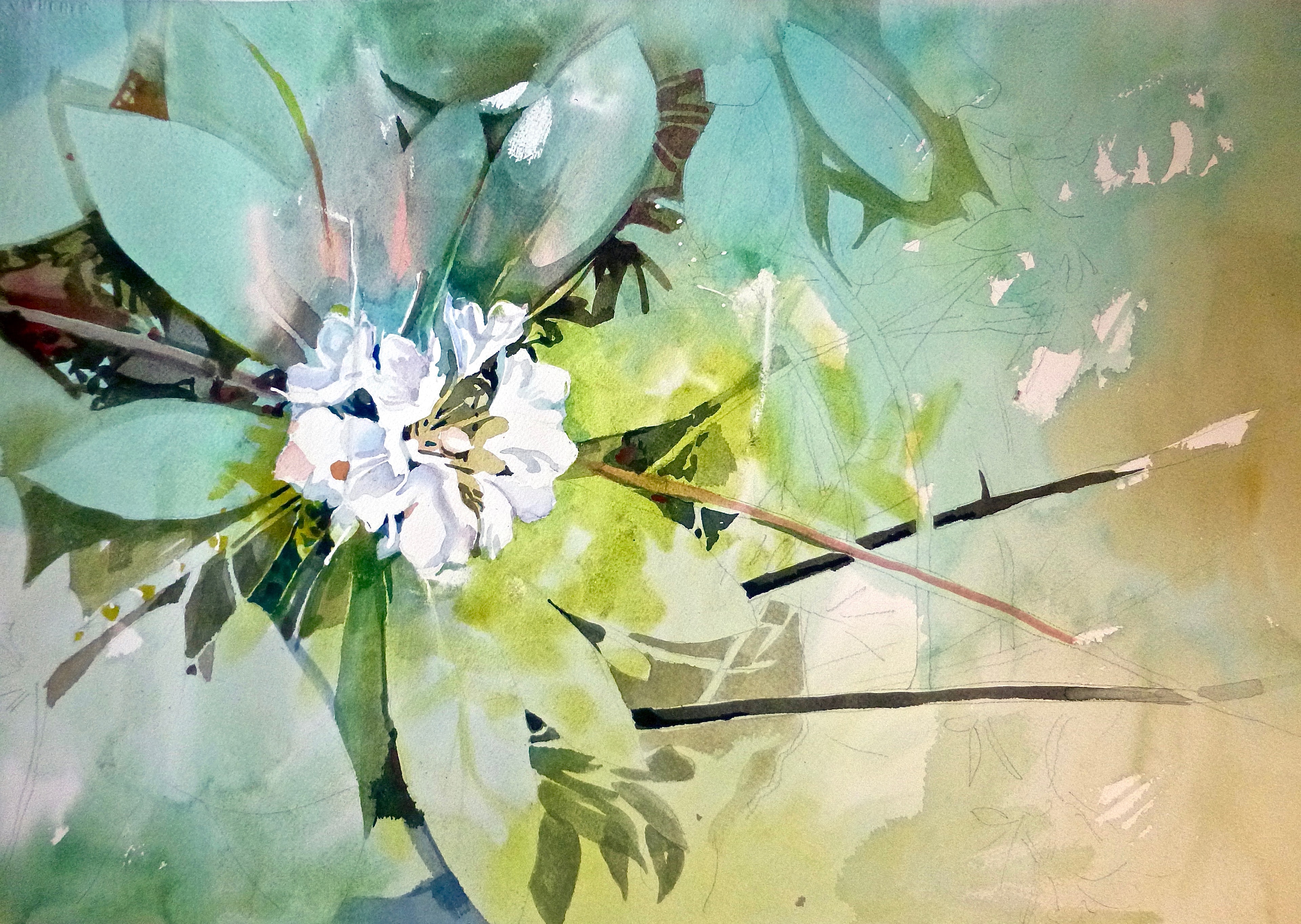 Floral Study — Watercolor on paper