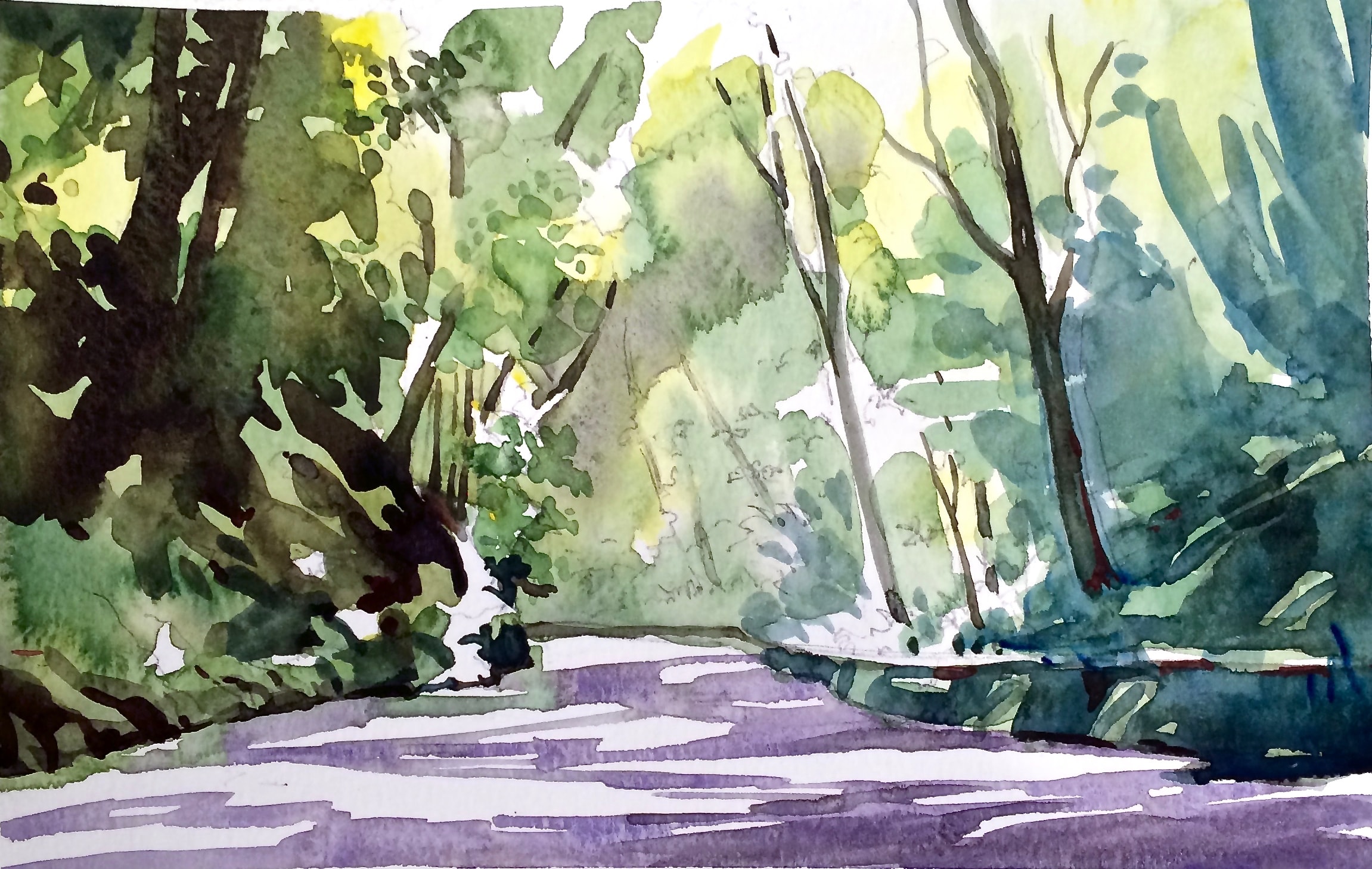 Forest Stream — Watercolor on paper