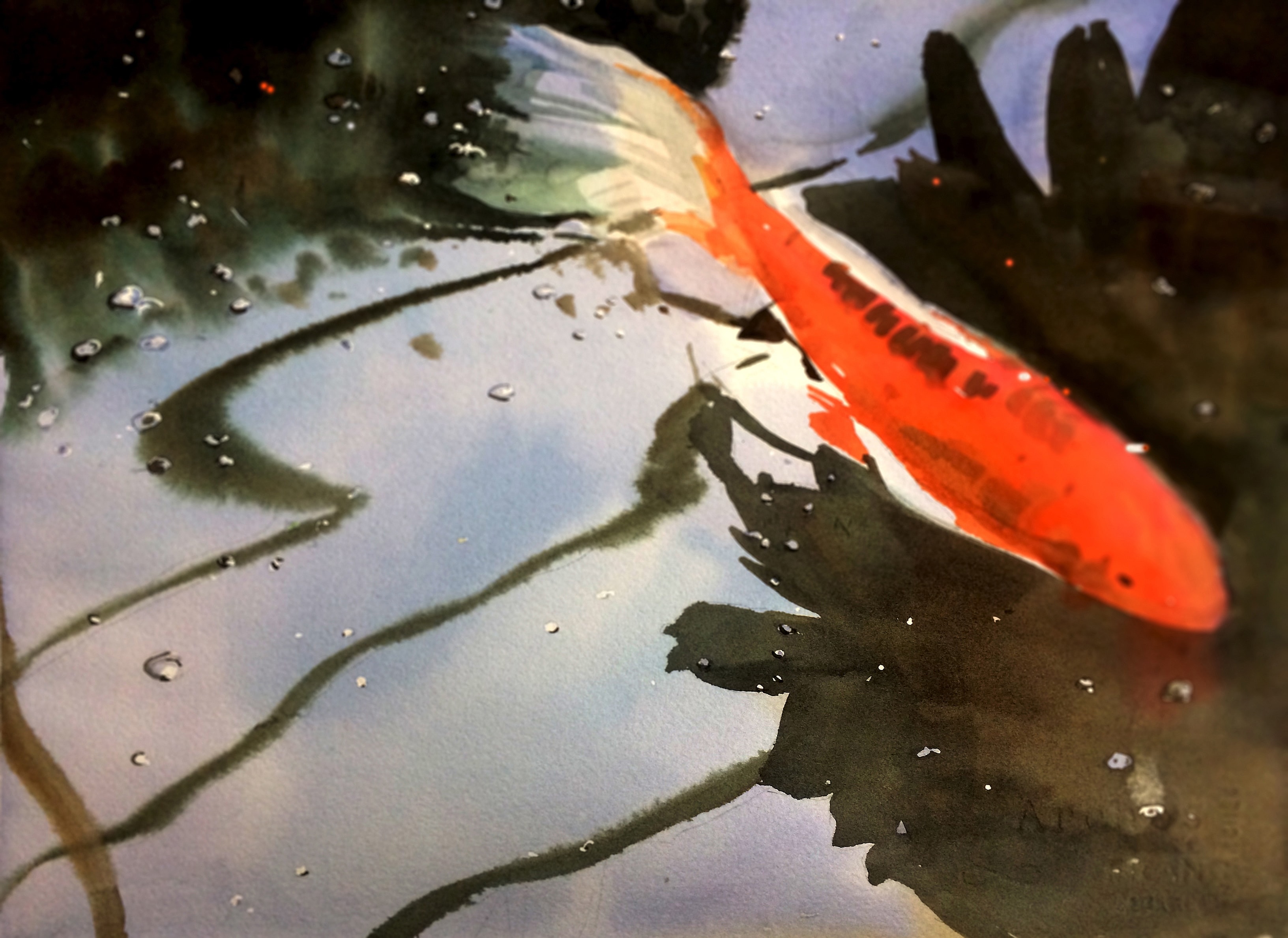 Koi — Watercolor on paper