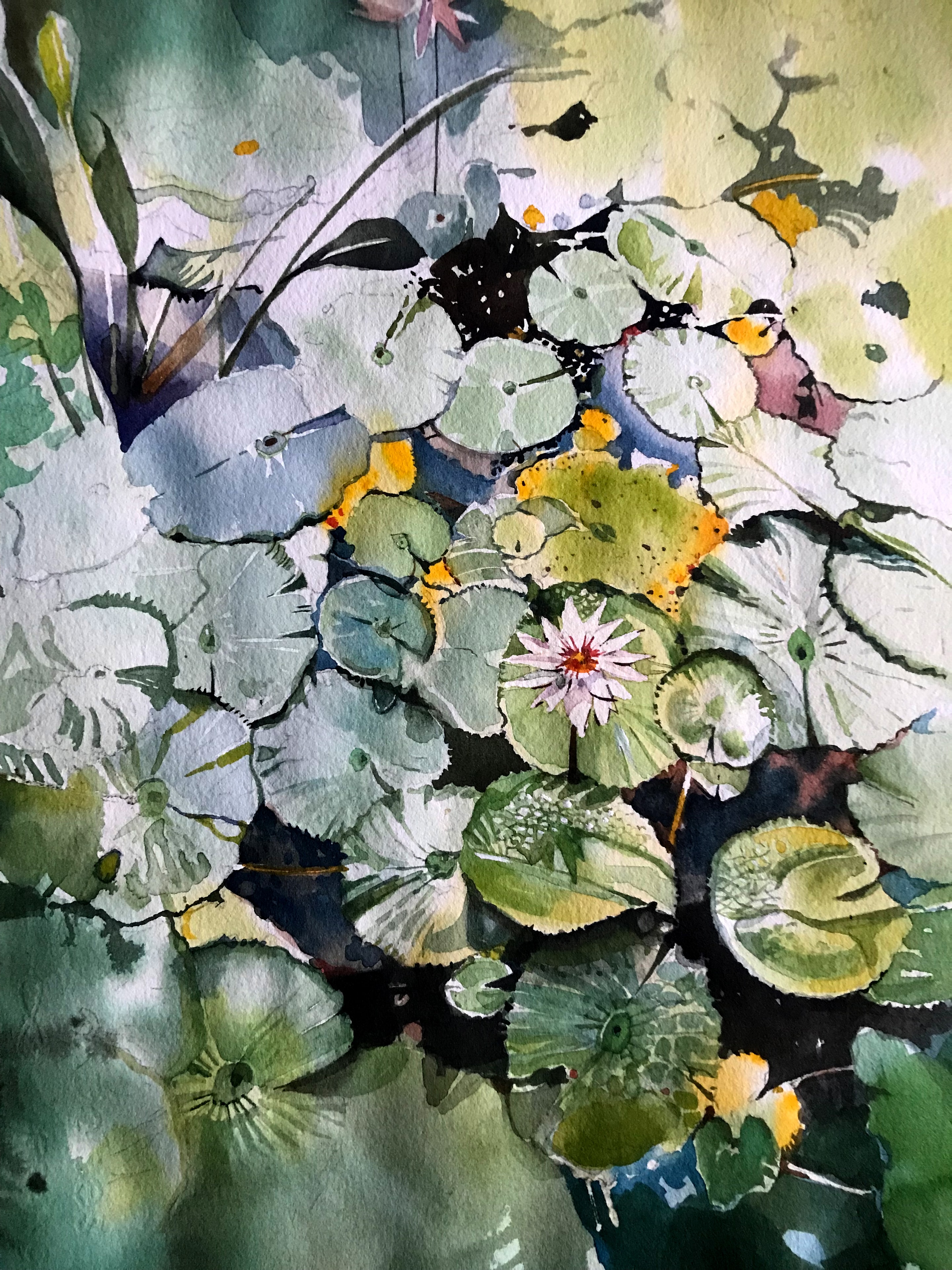 Mott Lillies — Watercolor on paper