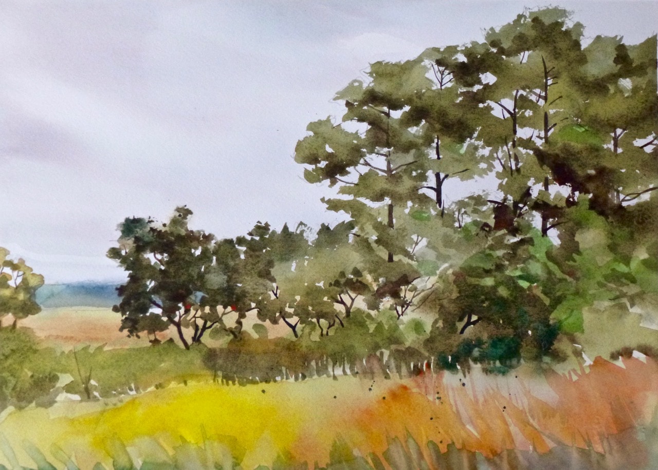 Fields and Trees — Watercolor on paper