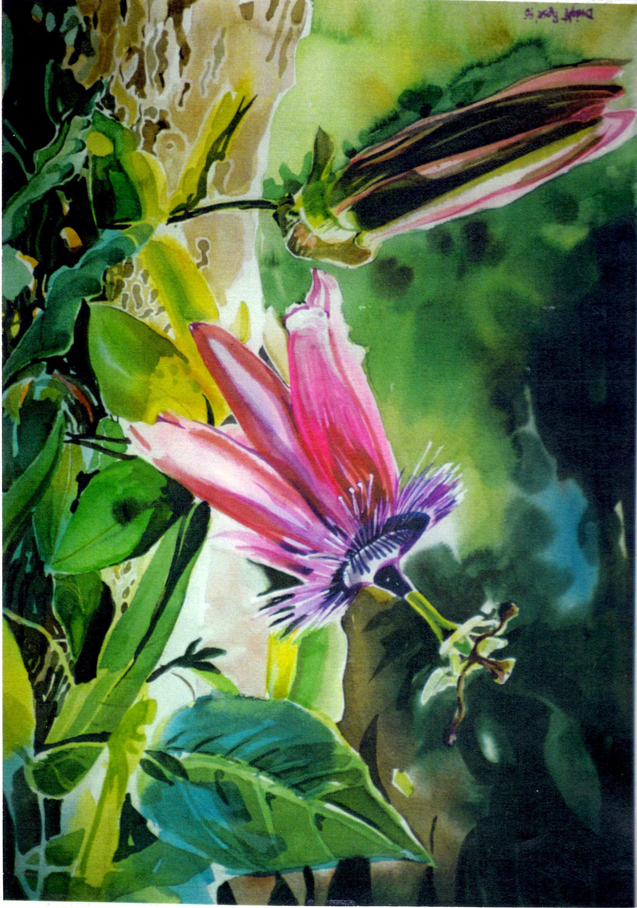 Passion Flower — Watercolor on paper
