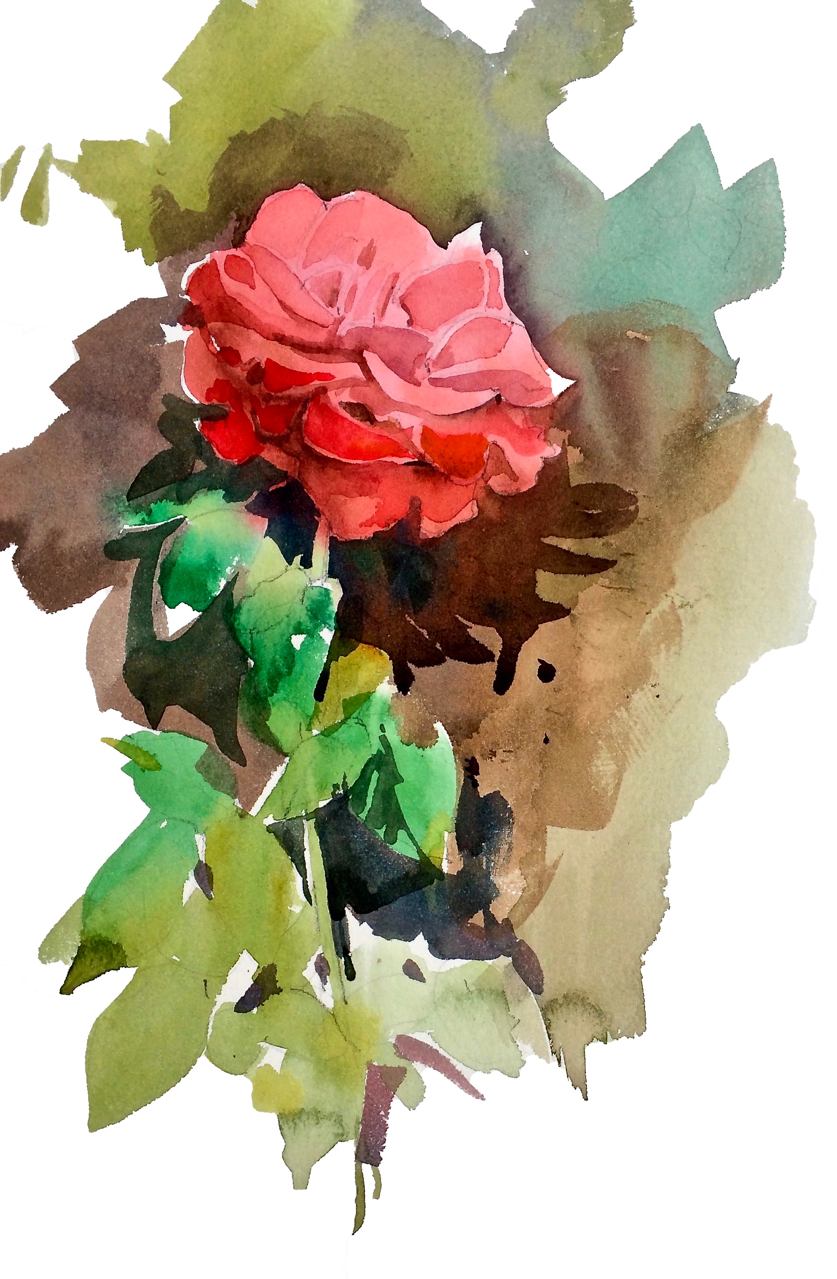 Rose — Watercolor on paper