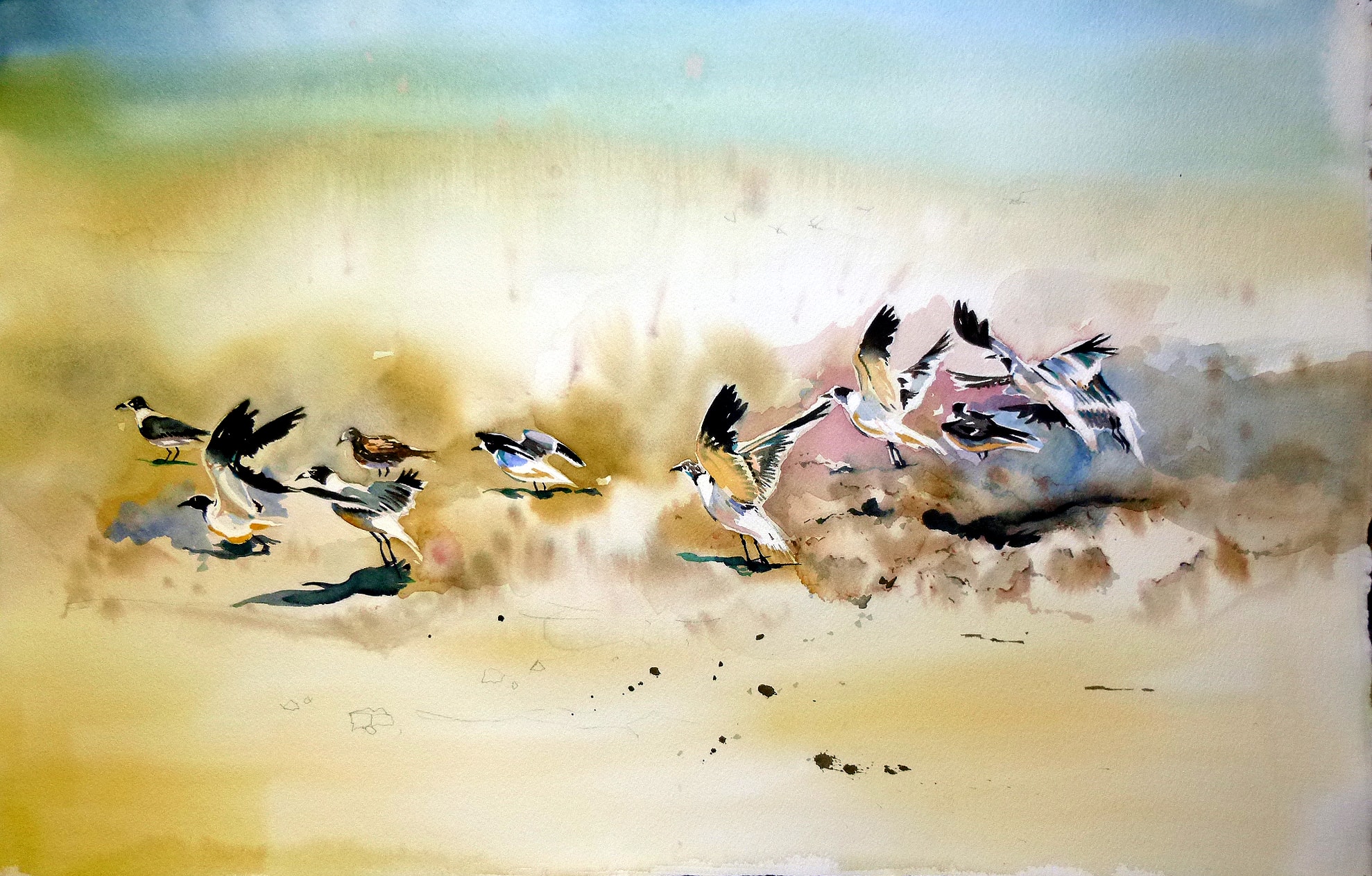 Siesta Flock — Watercolor on paper
