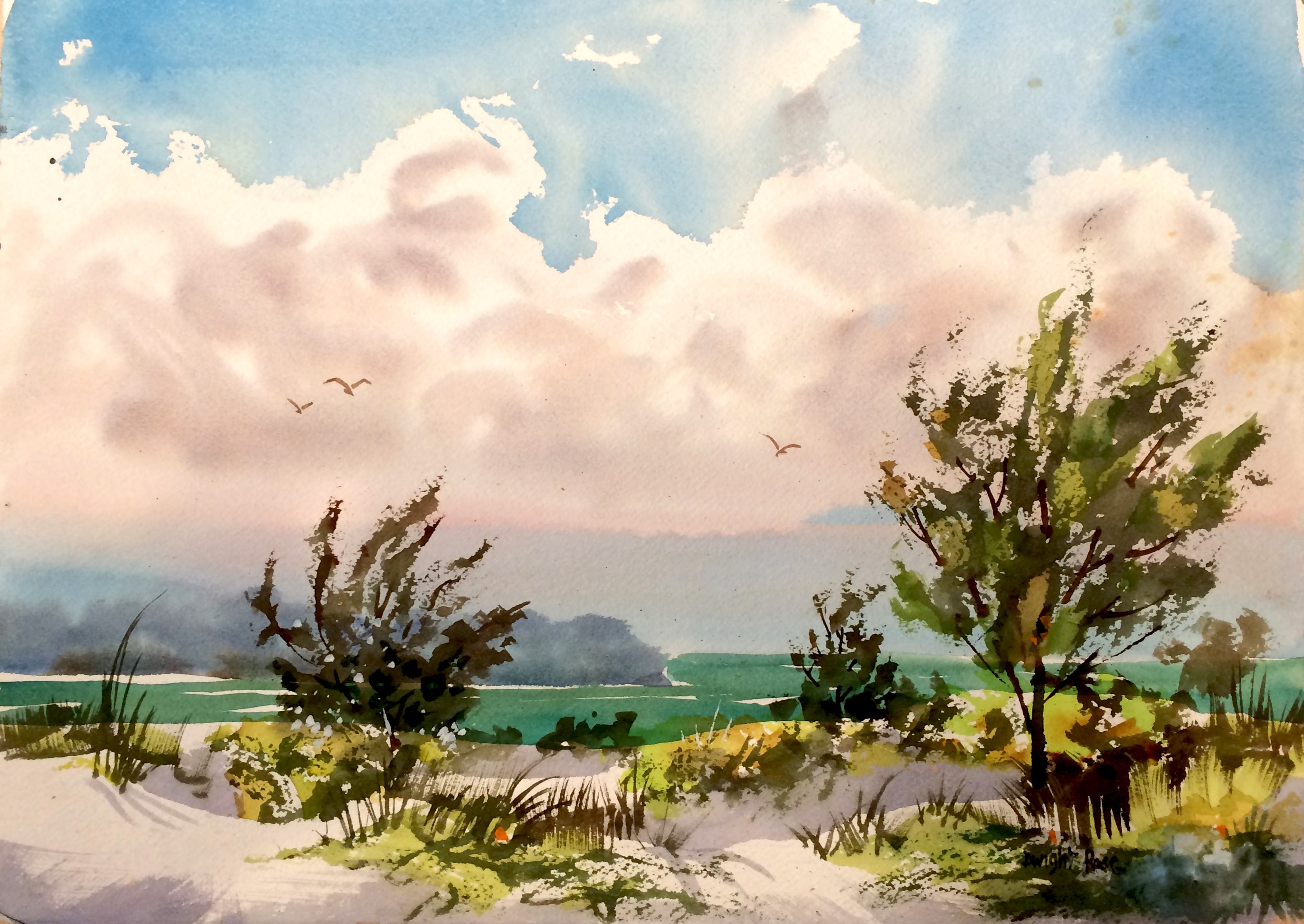 Siesta Key — windswept coastal landscape