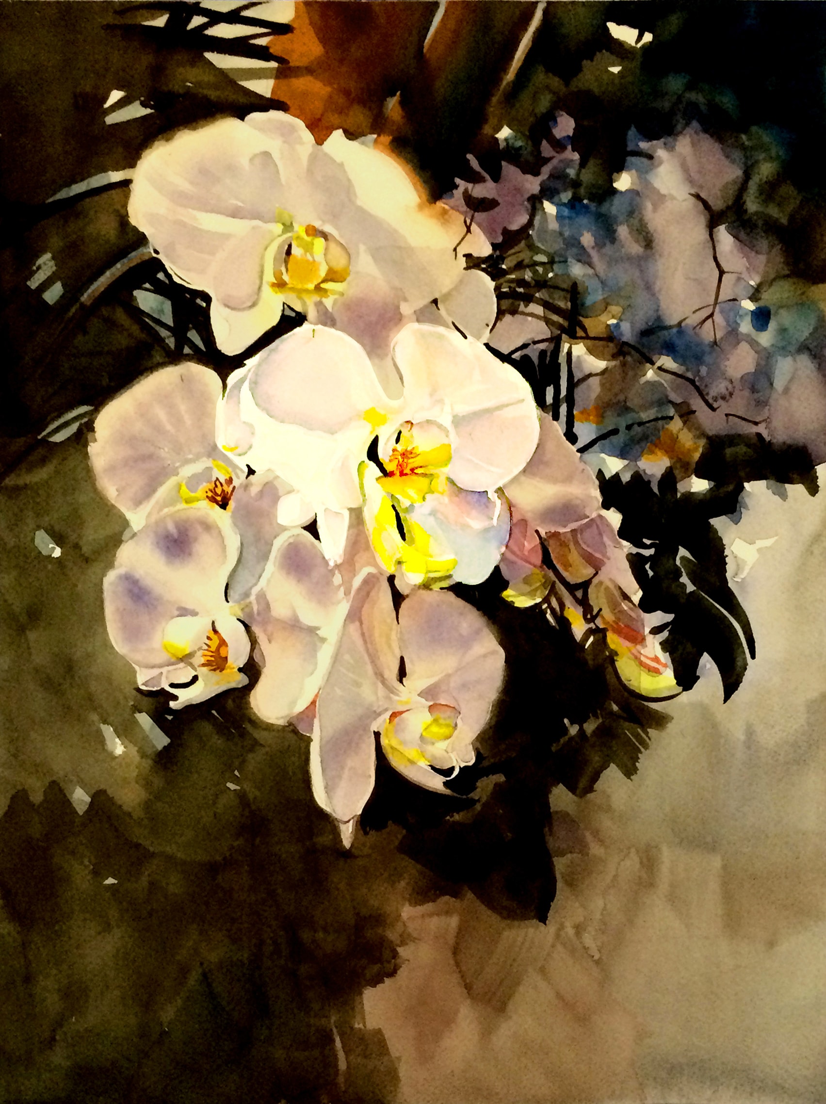 White Orchid — Watercolor on paper